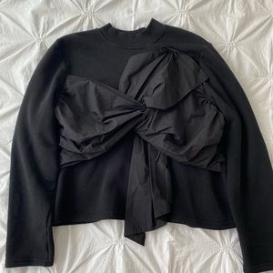 Zara Sweater w/ Beautiful Tie Detail